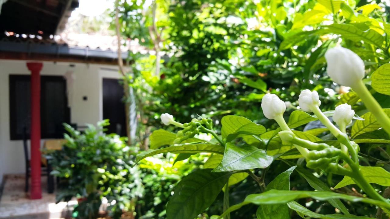 Green Garden Guest 미리사 외부 사진